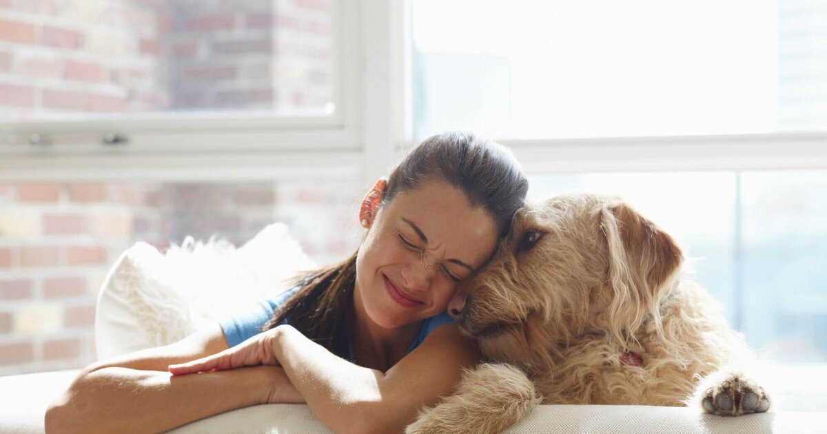 あなたの犬が愛情を示す方法：すべての犬の飼い主が知っておくべき5つのサイン